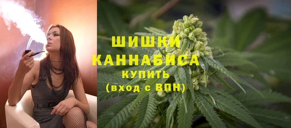 молекула духа Михайлов
