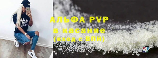молекула духа Михайлов