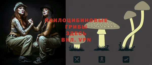 молекула духа Михайлов
