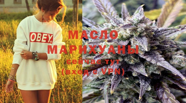 молекула духа Михайлов