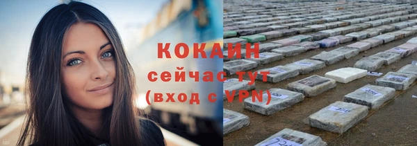 молекула духа Михайлов