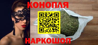 шишки Кимры