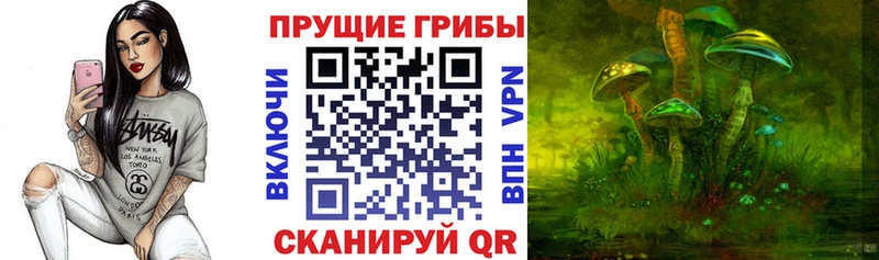 Псилоцибиновые грибы мухоморы где купить Урус-Мартан
